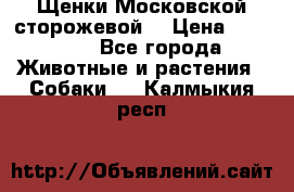 Щенки Московской сторожевой  › Цена ­ 25 000 - Все города Животные и растения » Собаки   . Калмыкия респ.